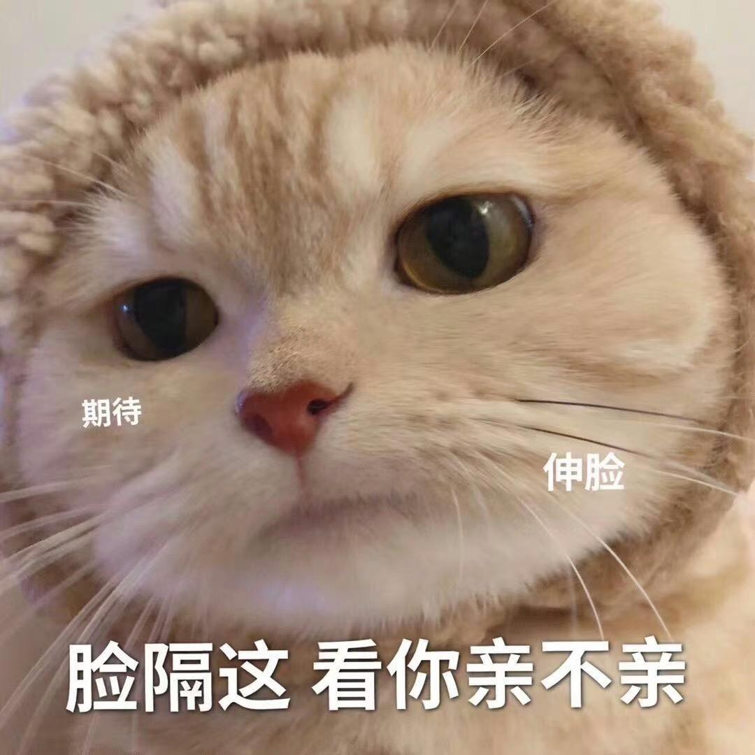 小胡鸭（养生版）