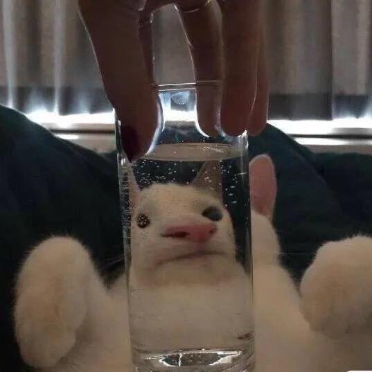 M0