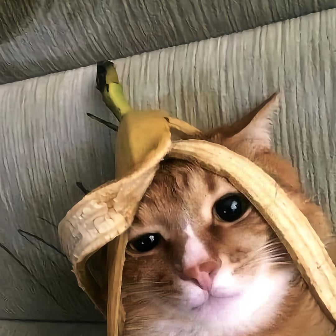 小江不压弯
