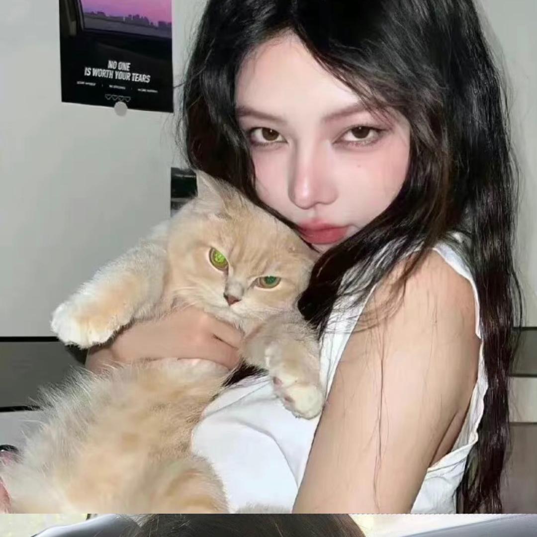 吃饱了⊙﹏⊙头像