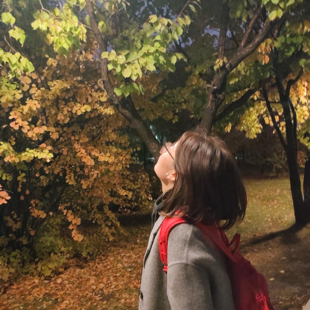 娱乐圈顶刘女士