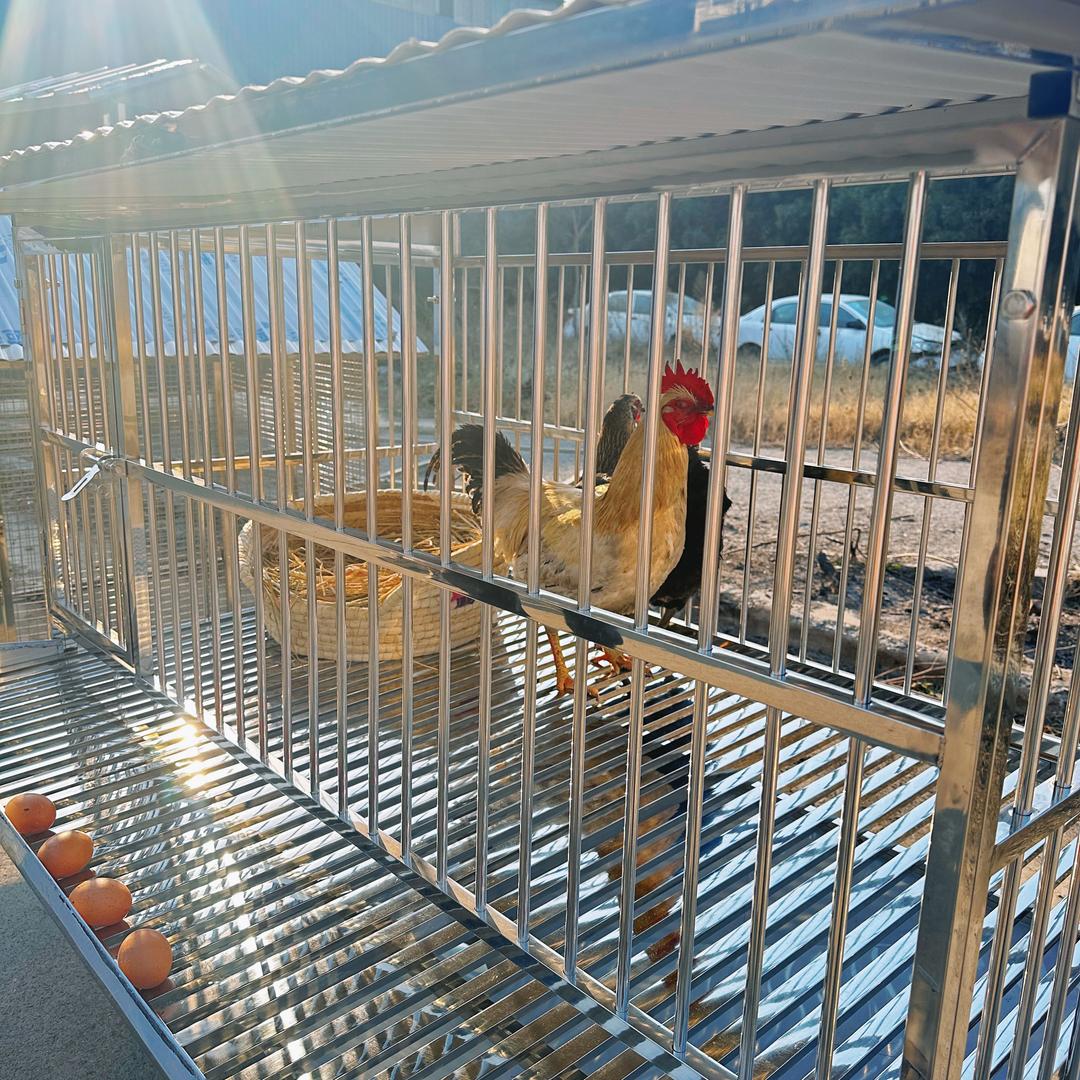 永赢巨众庭院鸡舍