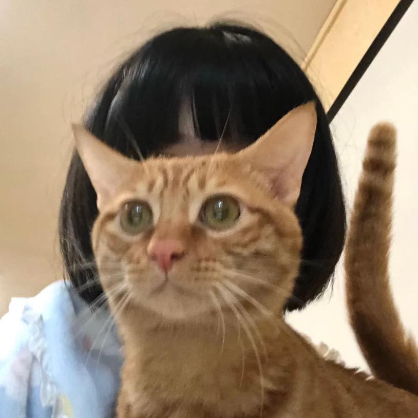 青青