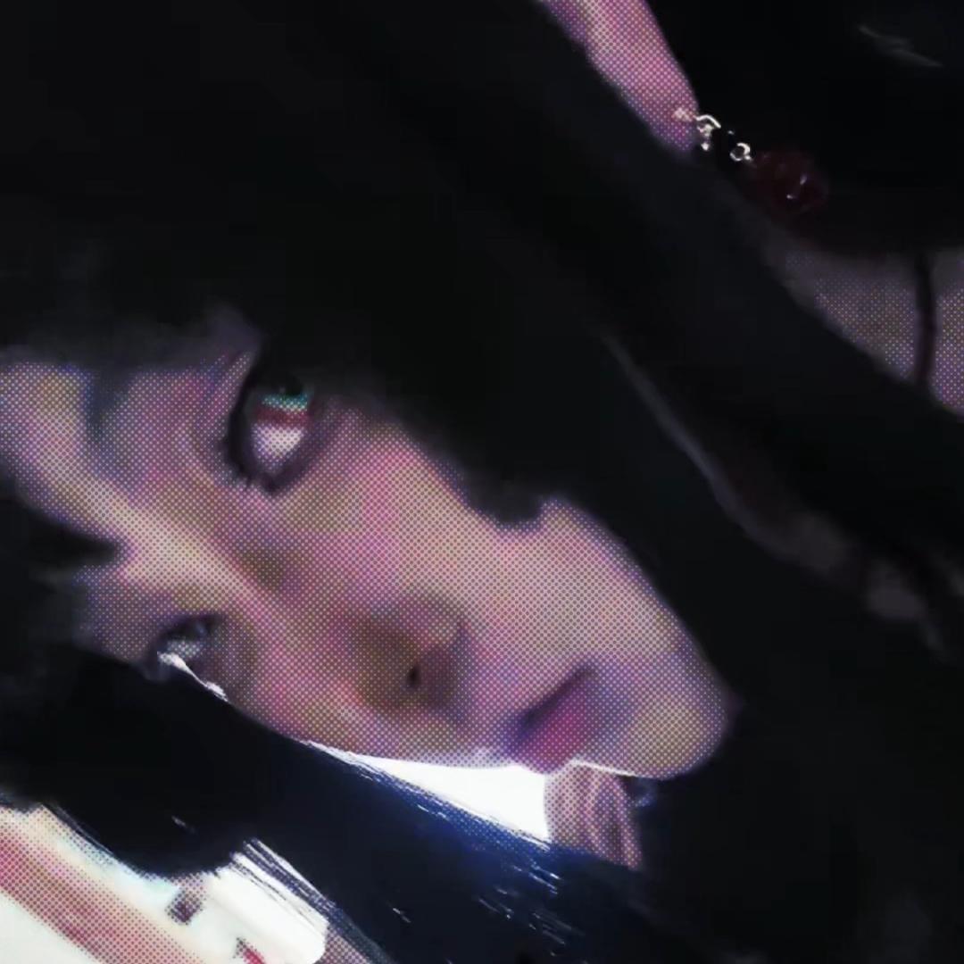 猫猫星⭐