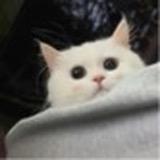 u ‍