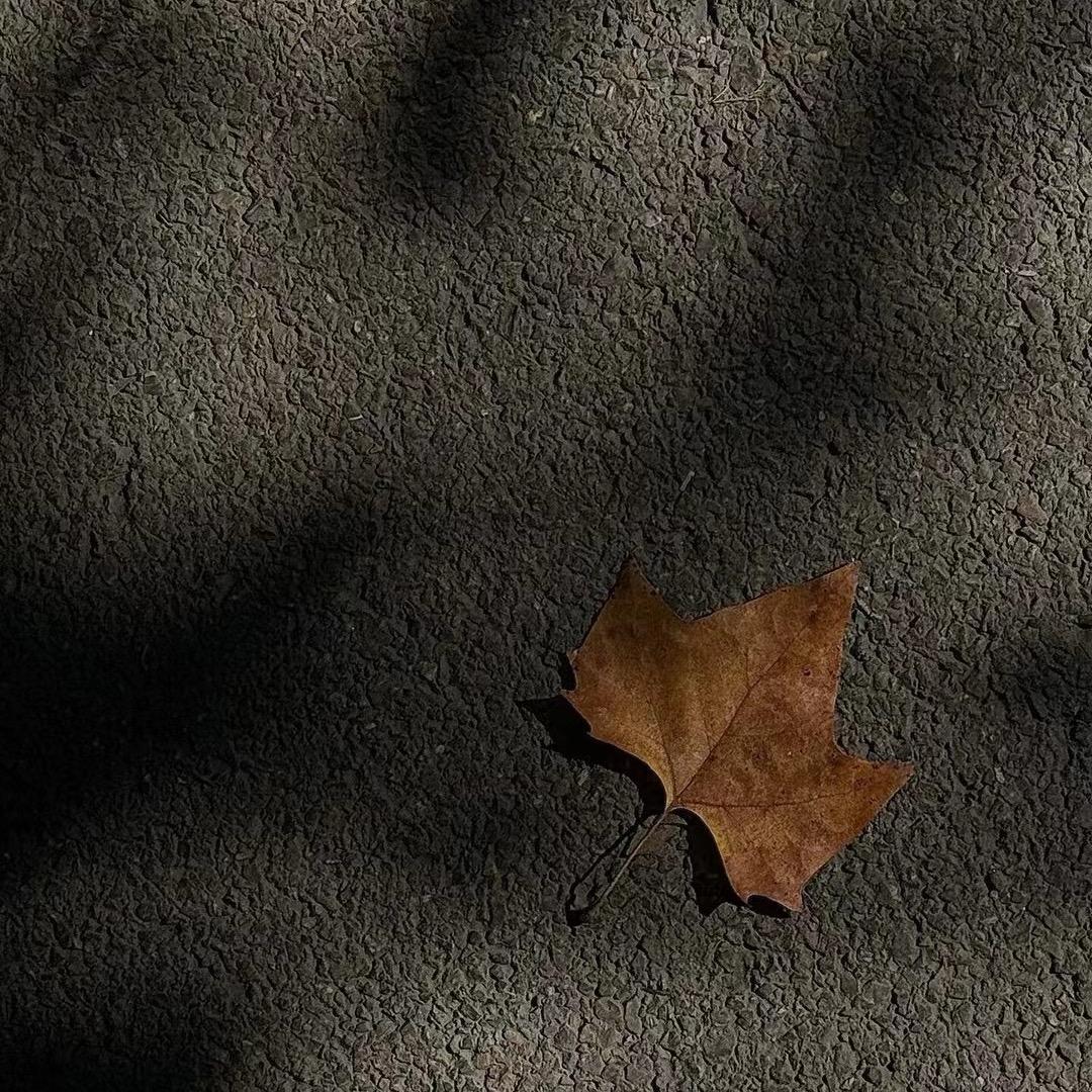 积木。