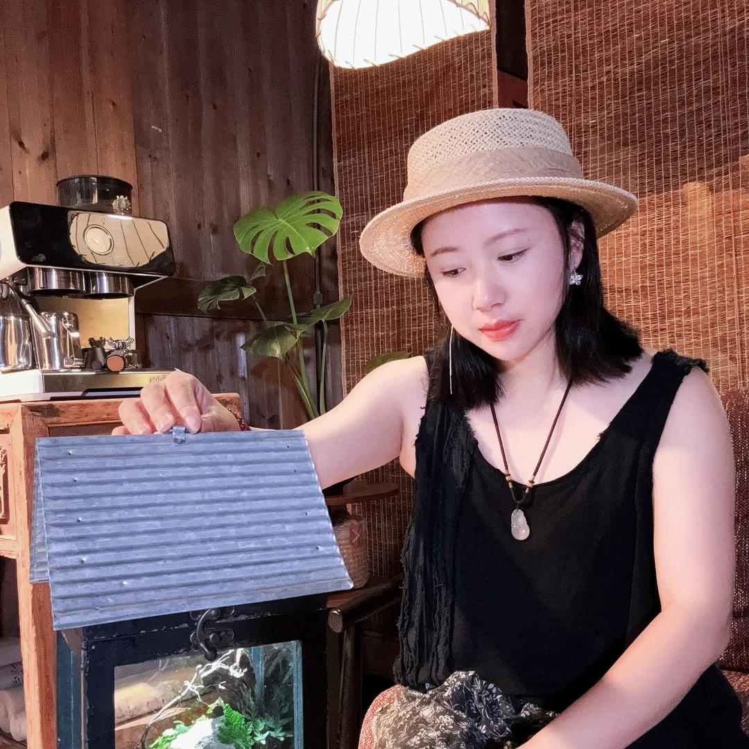 禅舍草木深