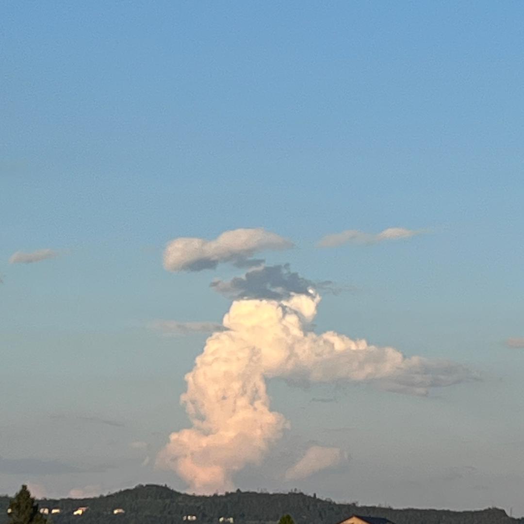 四川无人机吊运