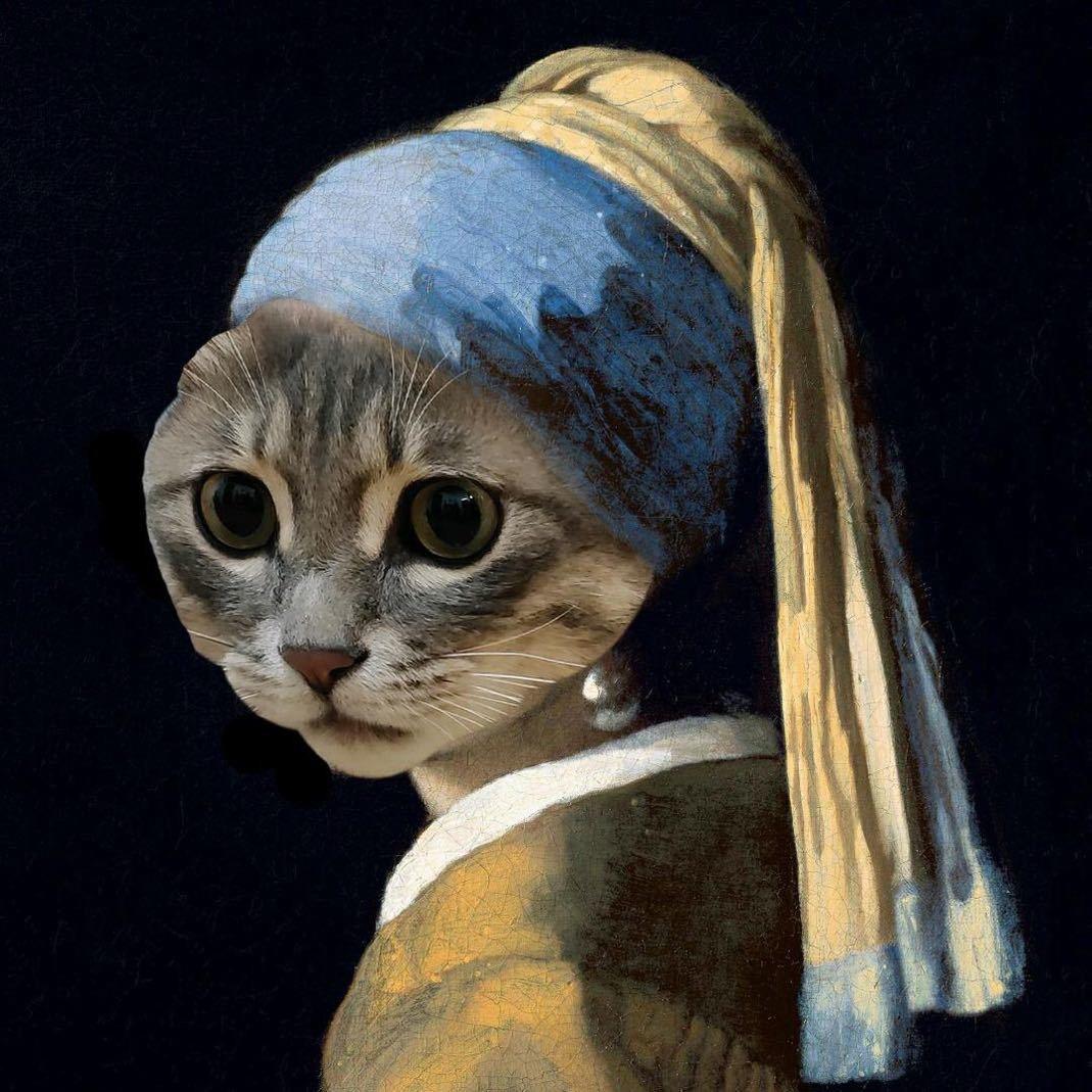 你的音乐老师@抖音