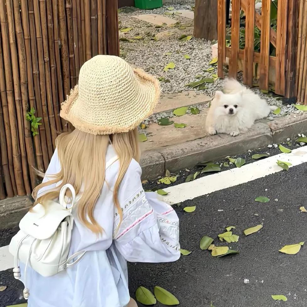 人间不许美人愁