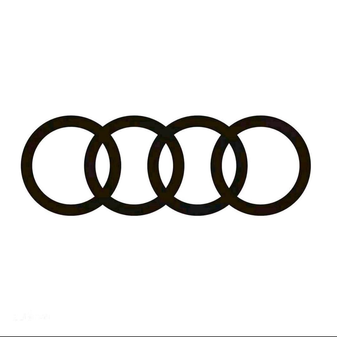 一汽奥迪新能源-营口中升奥迪