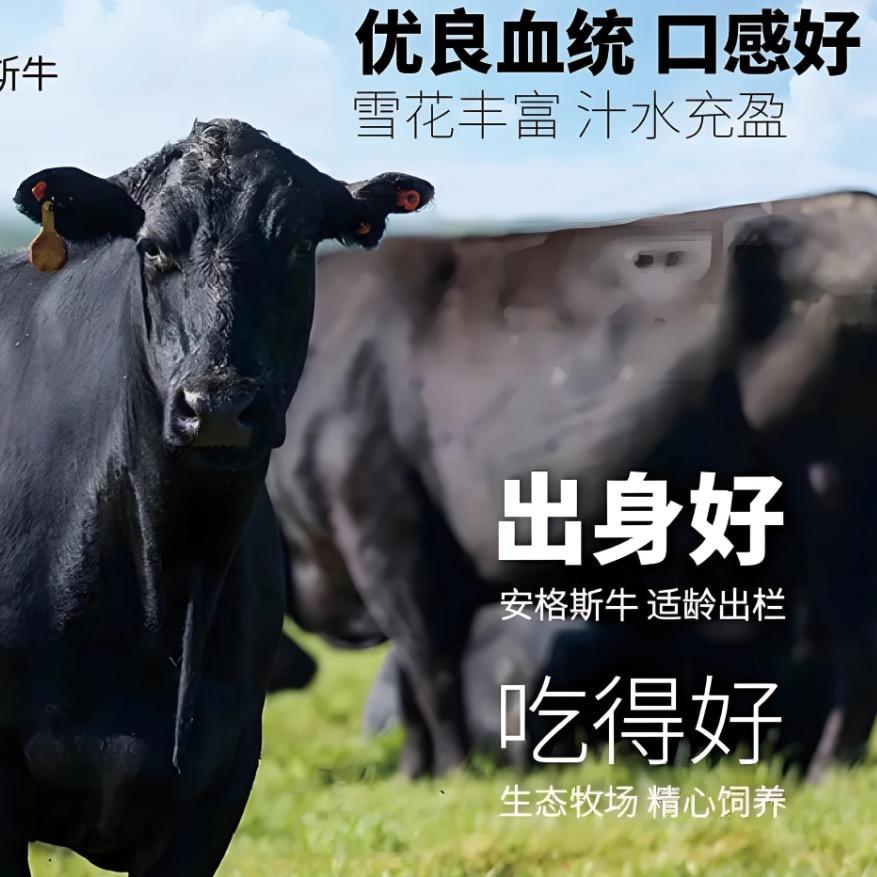 臻牛兄弟安格斯雪花牛肉
