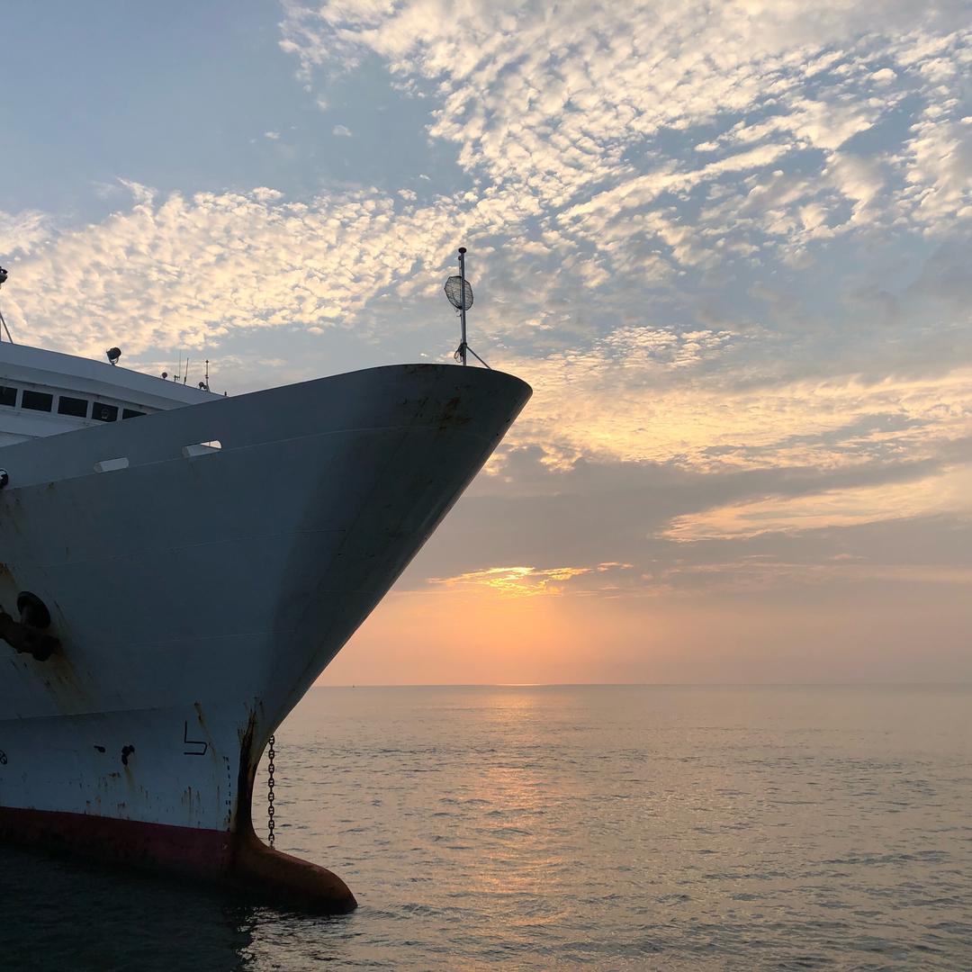 广西北流六靖养殖黑山羊