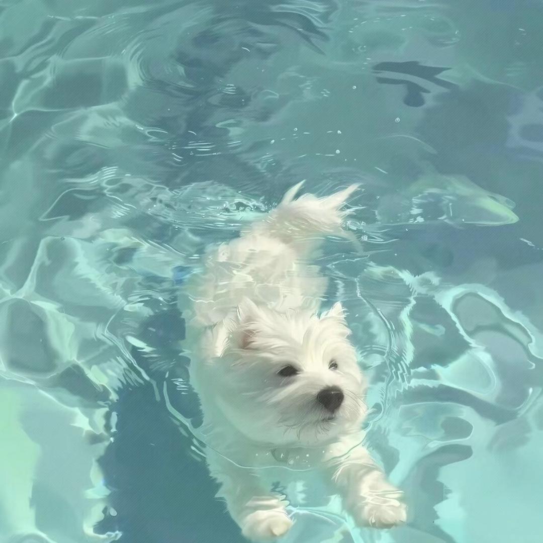 𝙇