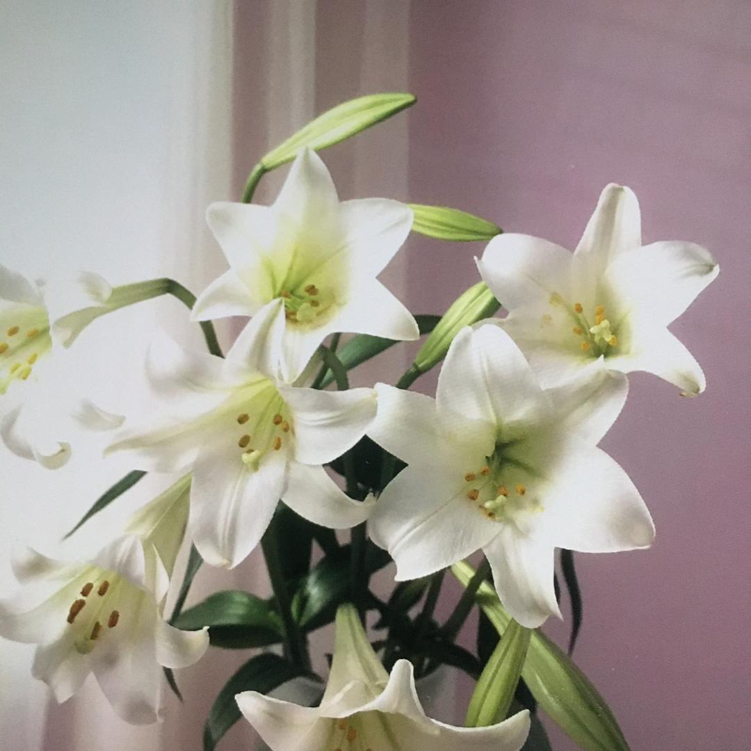 鑫鑫潮流时尚女装