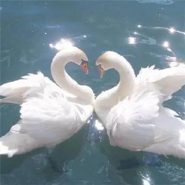 🌟陈乐无忧💗