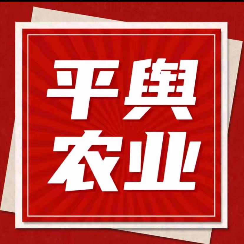 平舆农业陈明