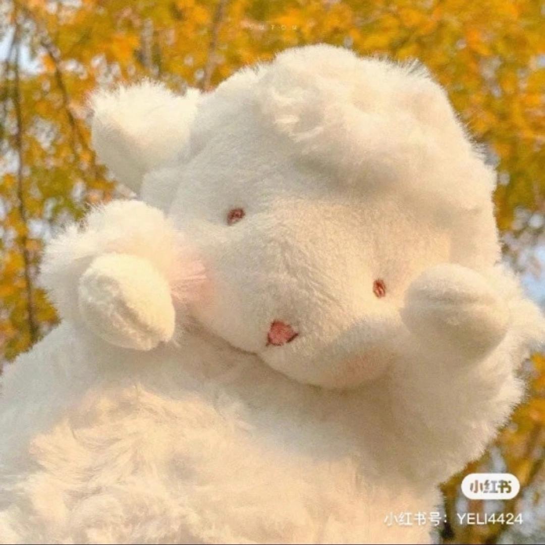 黄油是只猫应援物材料包