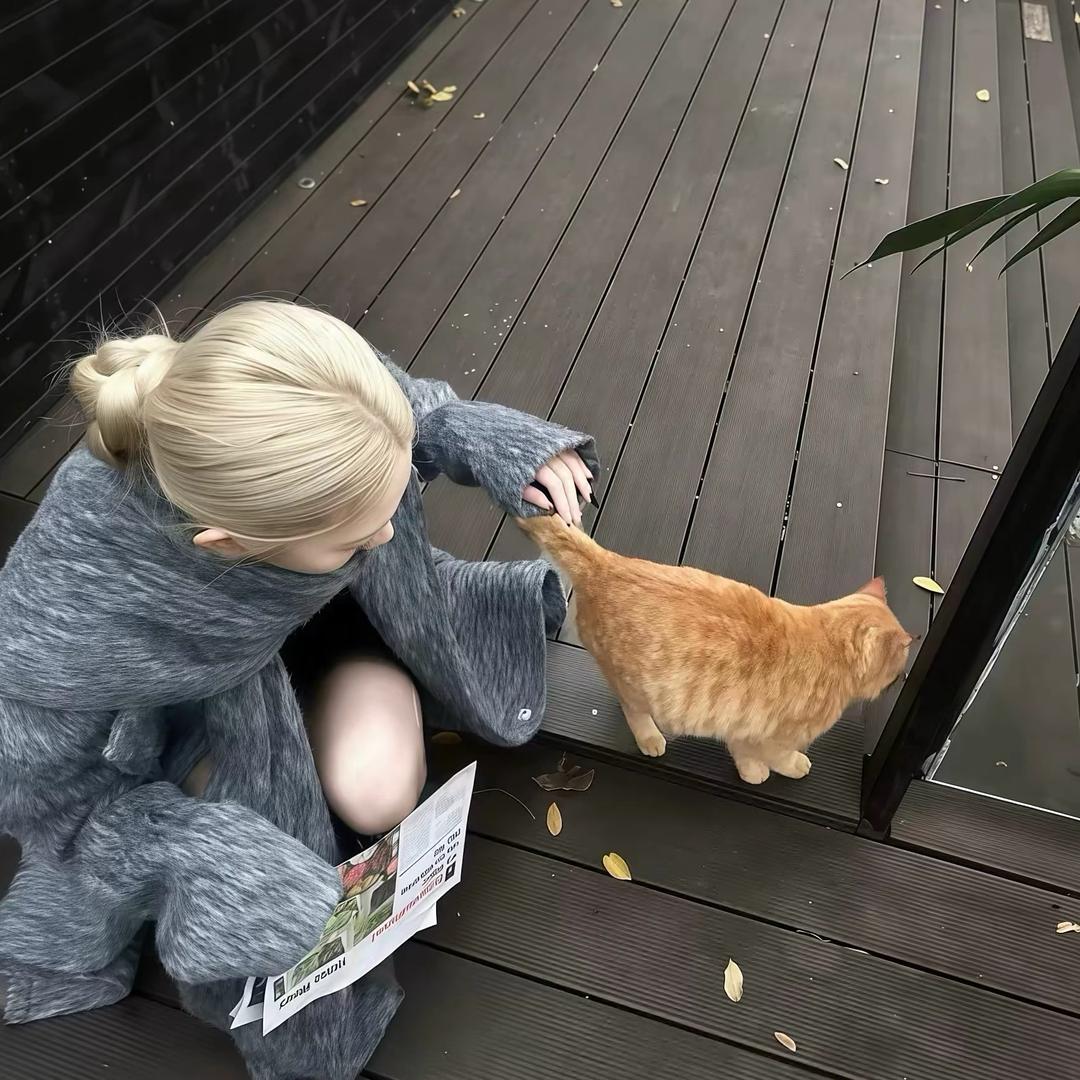 土豆爱吃马铃薯🥔