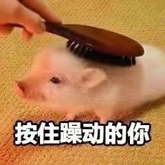 一枚吃货丶