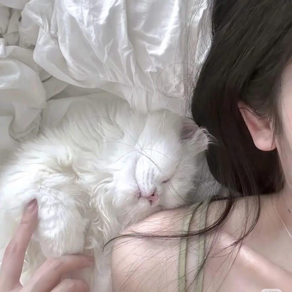 晚安💕
