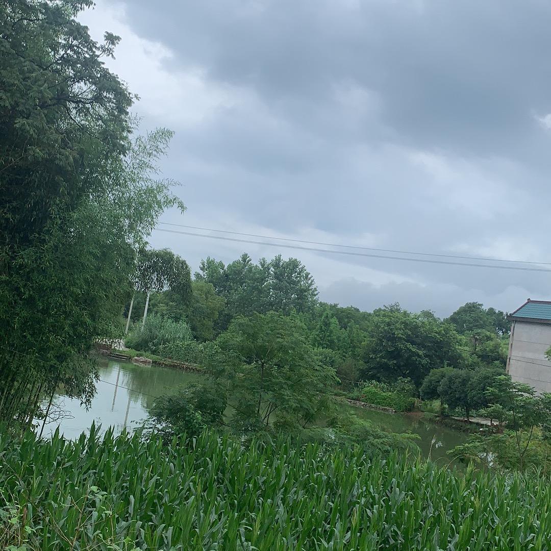 随心所欲