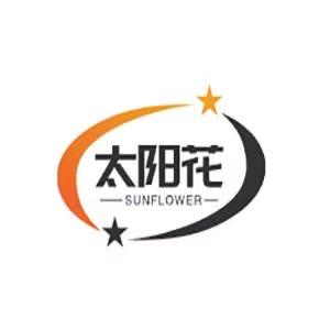太阳花灯具