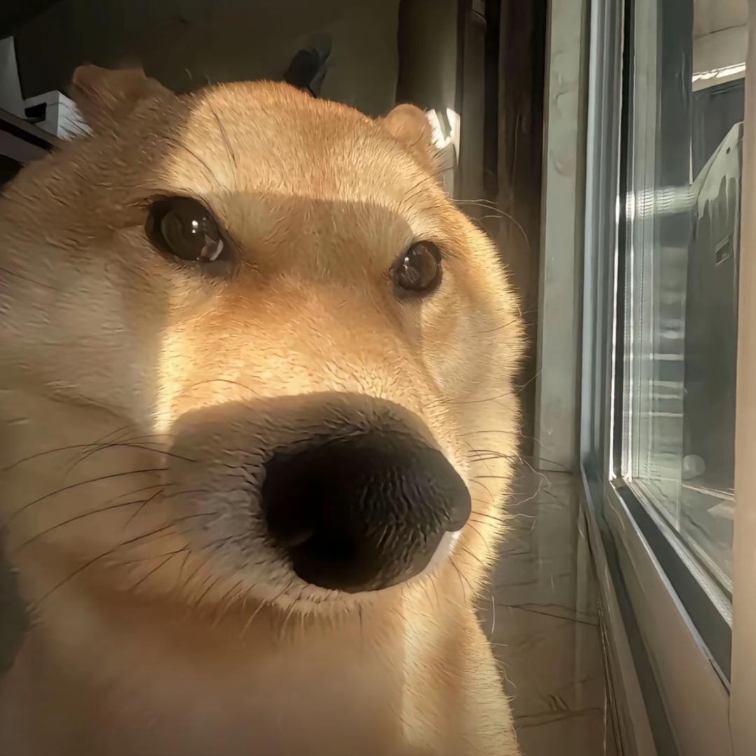 还可以