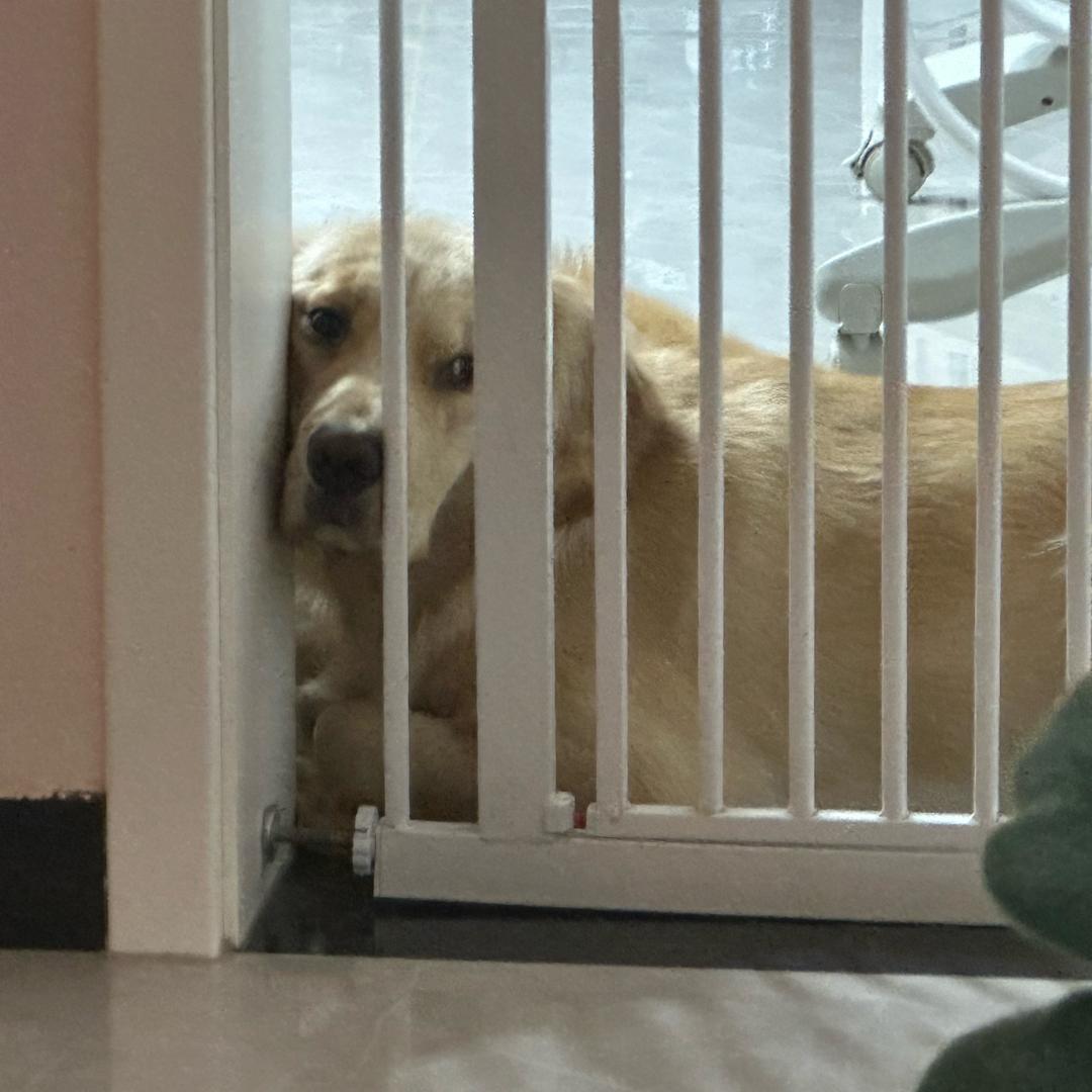 大大大大大大艾、