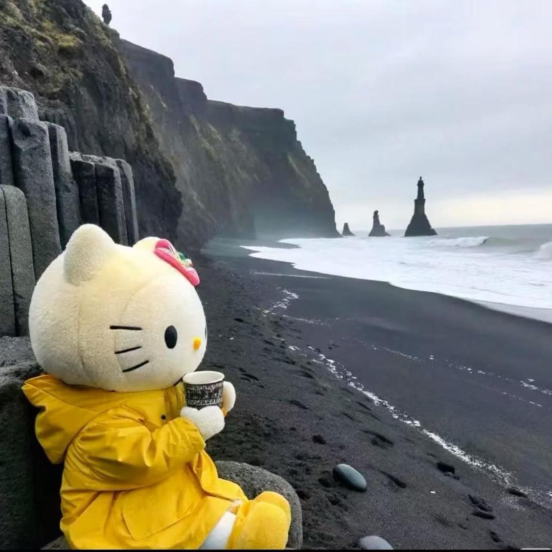 是谁抢了我的夹饼
