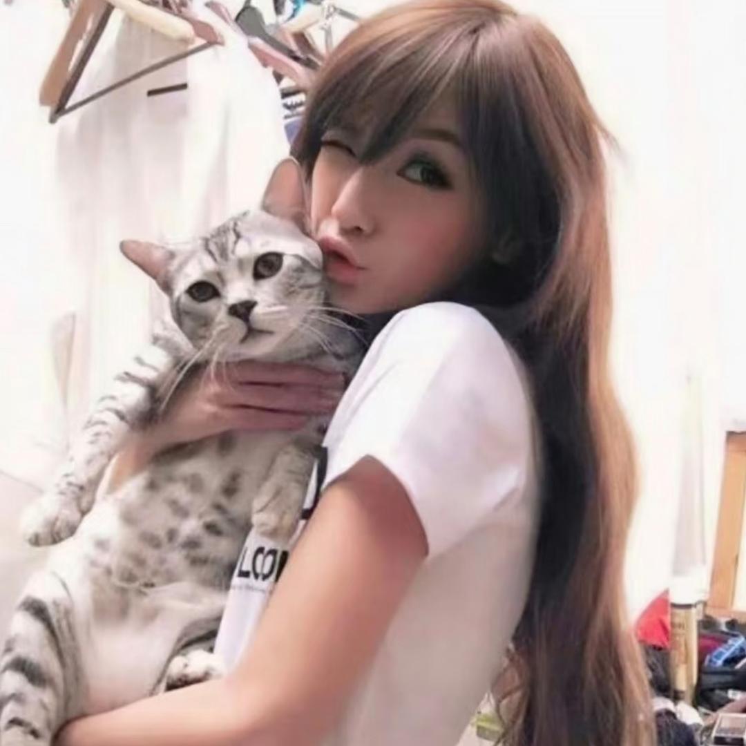 小🐈