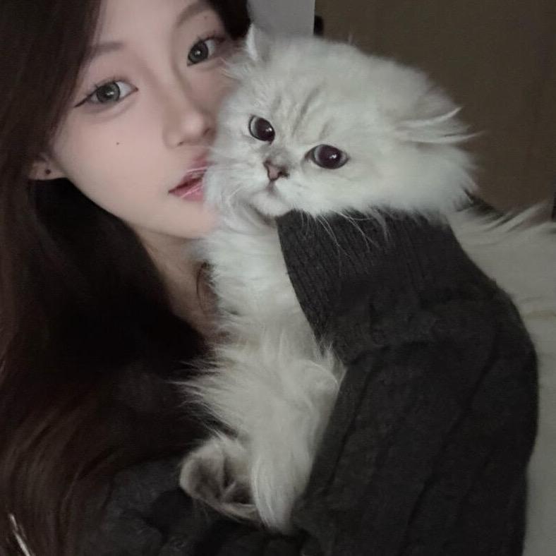 qiu落日