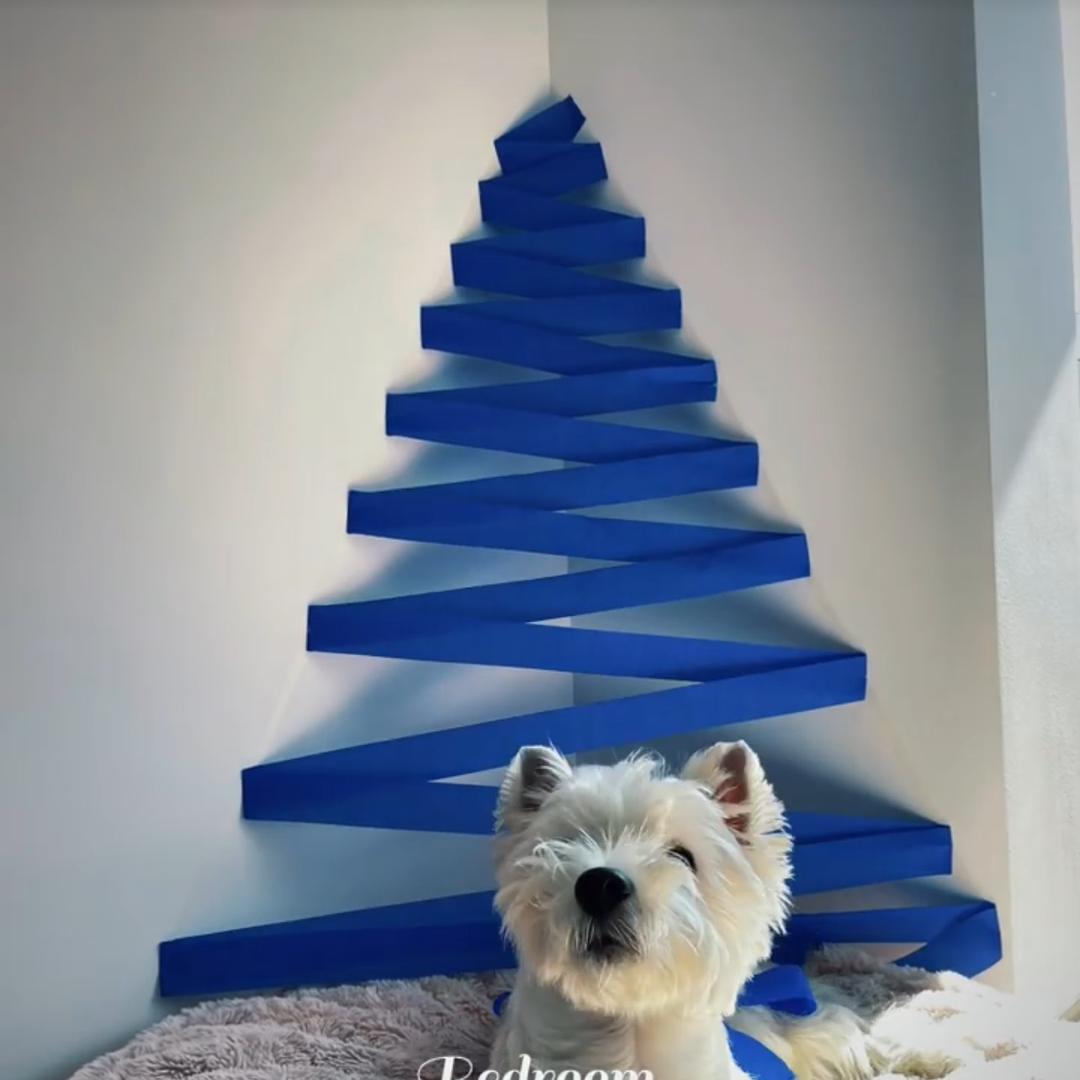 重生之我在广州卖胶带