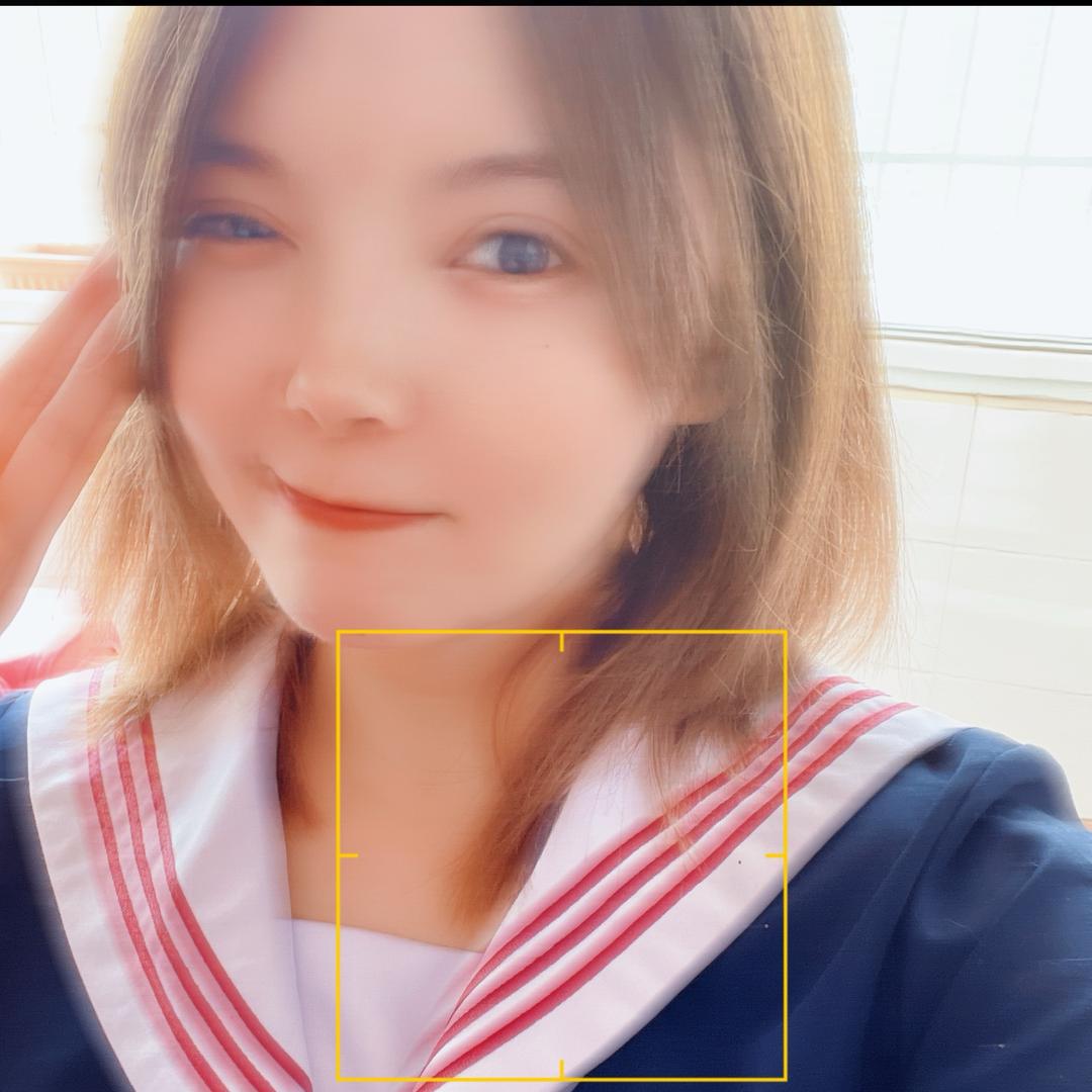 唐诗诗家的猫