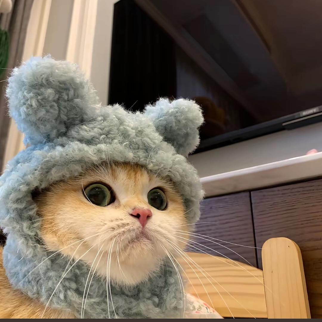 不爱吃火鸡面