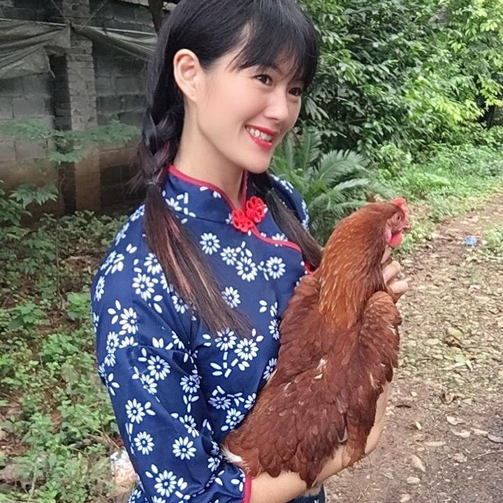龙游养鸡妹