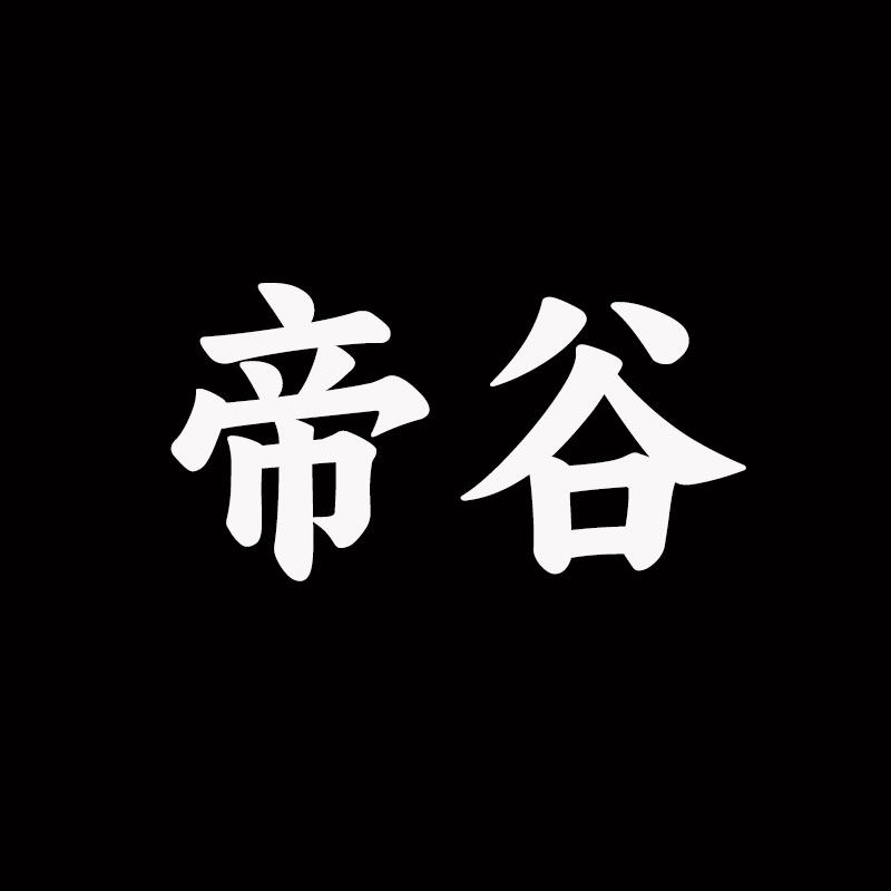 帝谷企业店