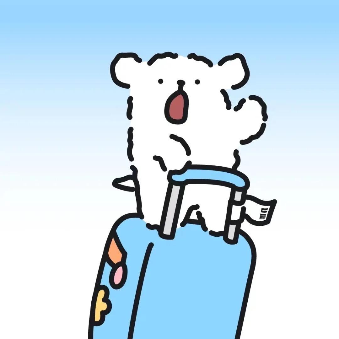 ask叮猫