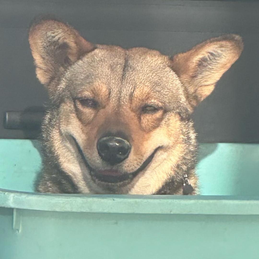 梅时梅刻千岛行