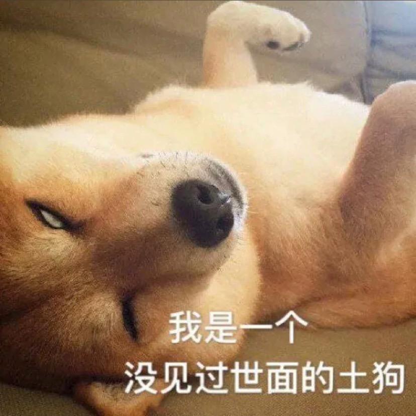 颜荒城