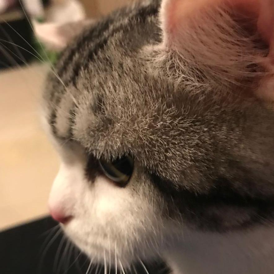 我是一颗小心心