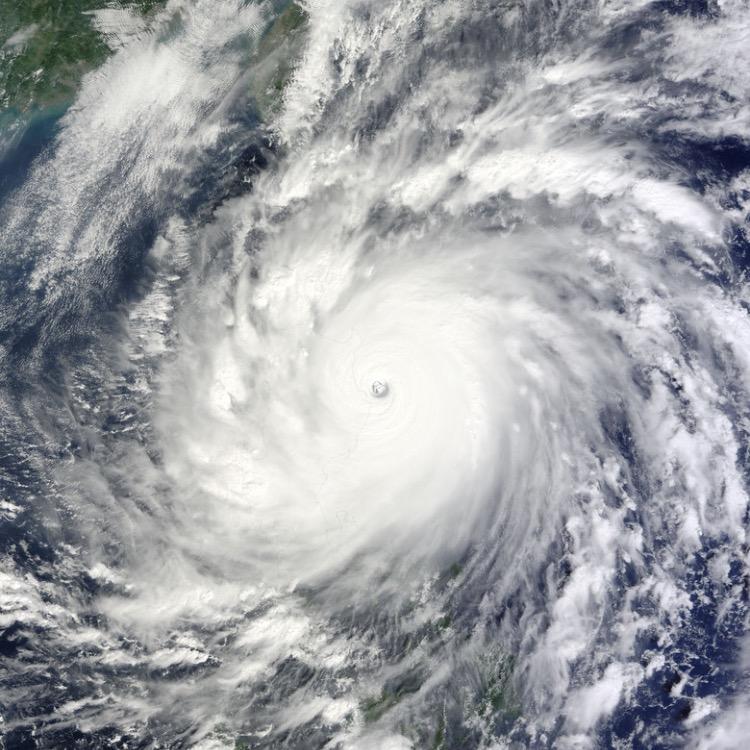 Stars台风预报🌏