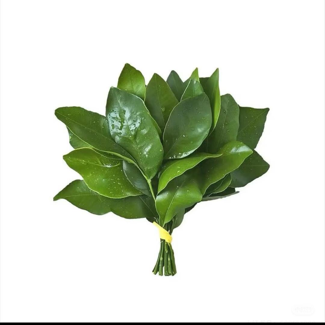 零篇
