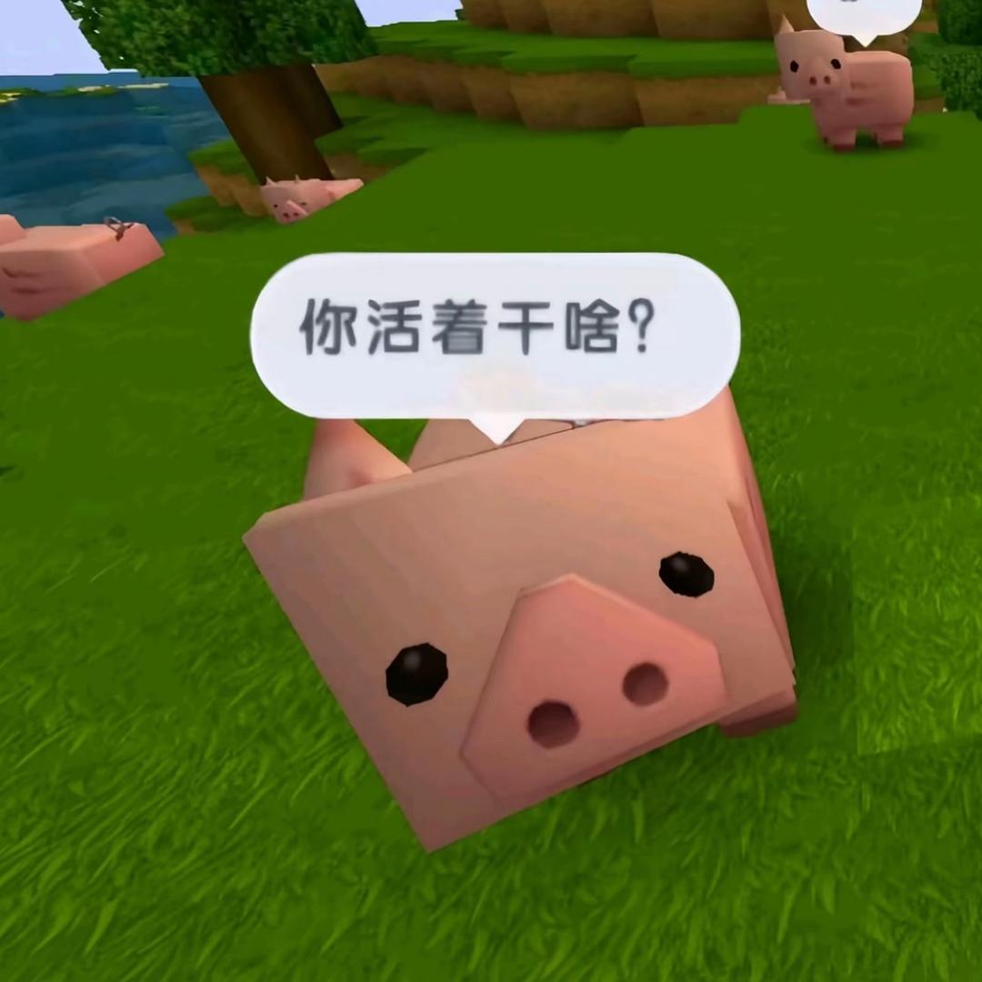 能不能别再让我倒霉了