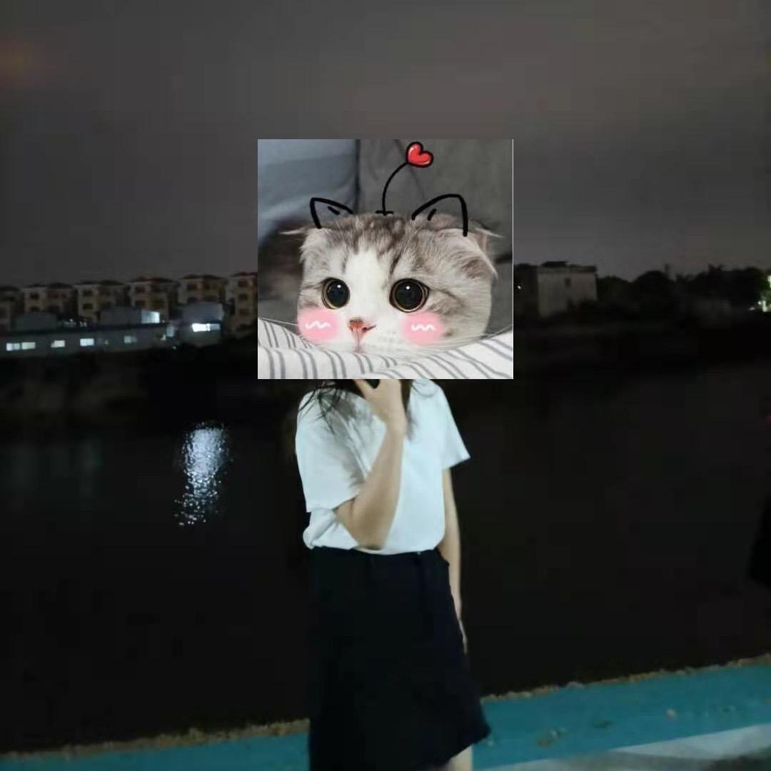 恋上你的宠