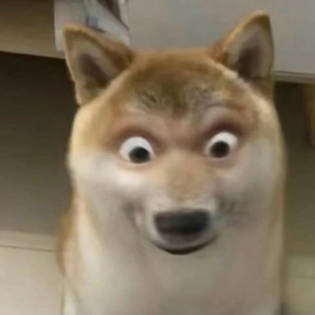 狗.321
