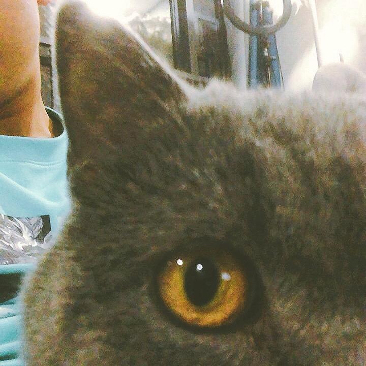 颖🐷