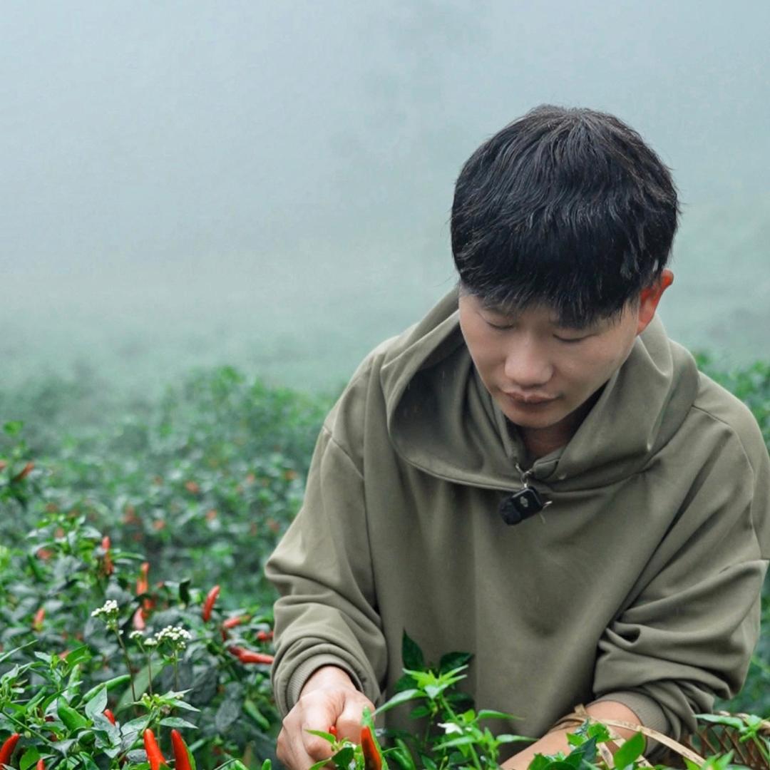 小航回乡