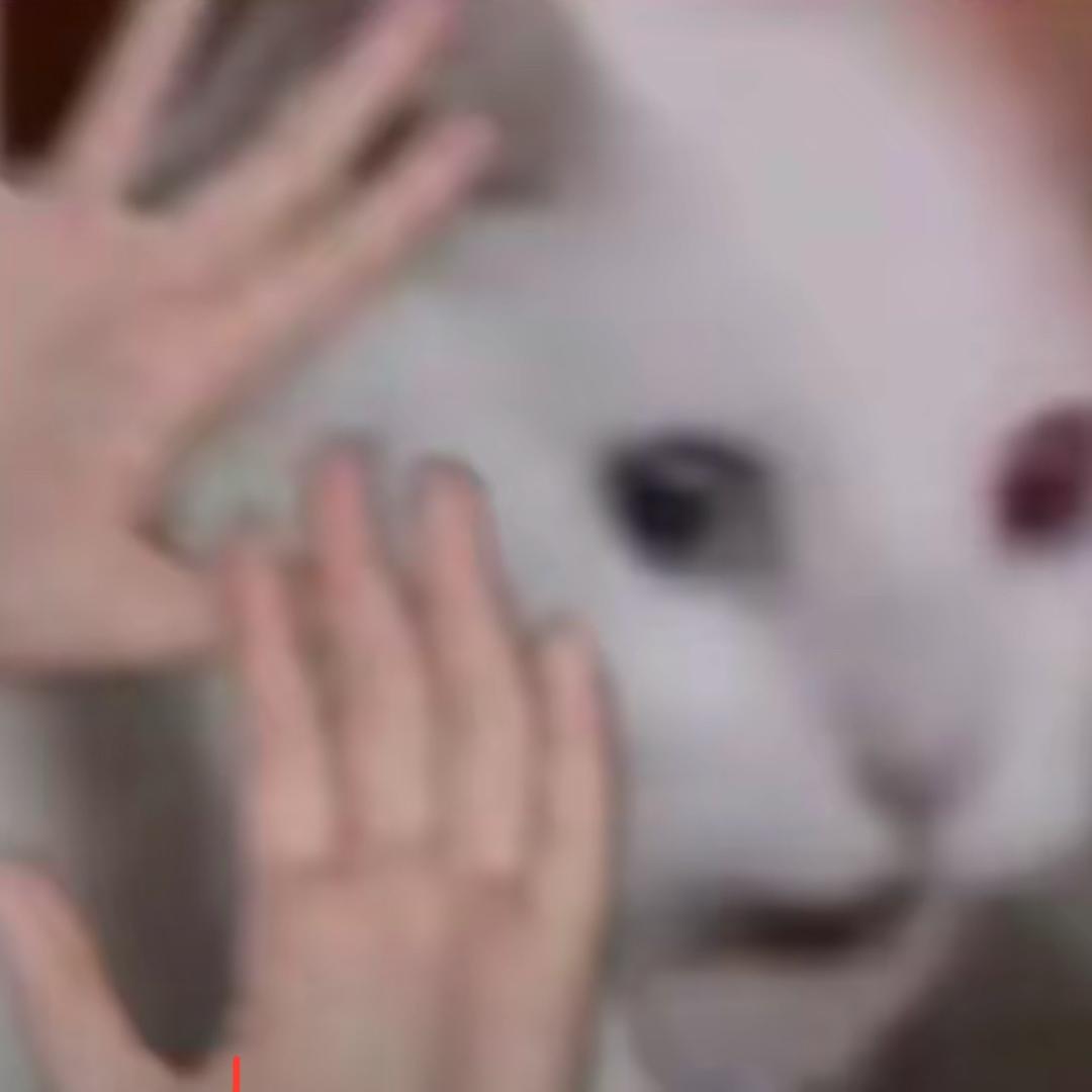 妍妍