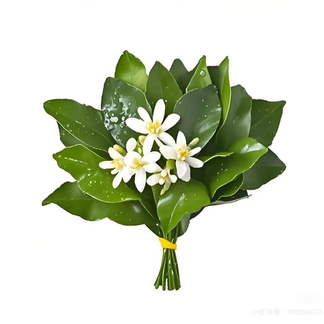 🌈花开富贵东方红